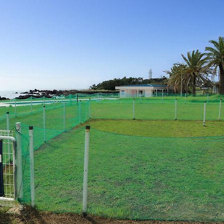 צ'יבה Shirahama Ocean Resort מראה חיצוני תמונה